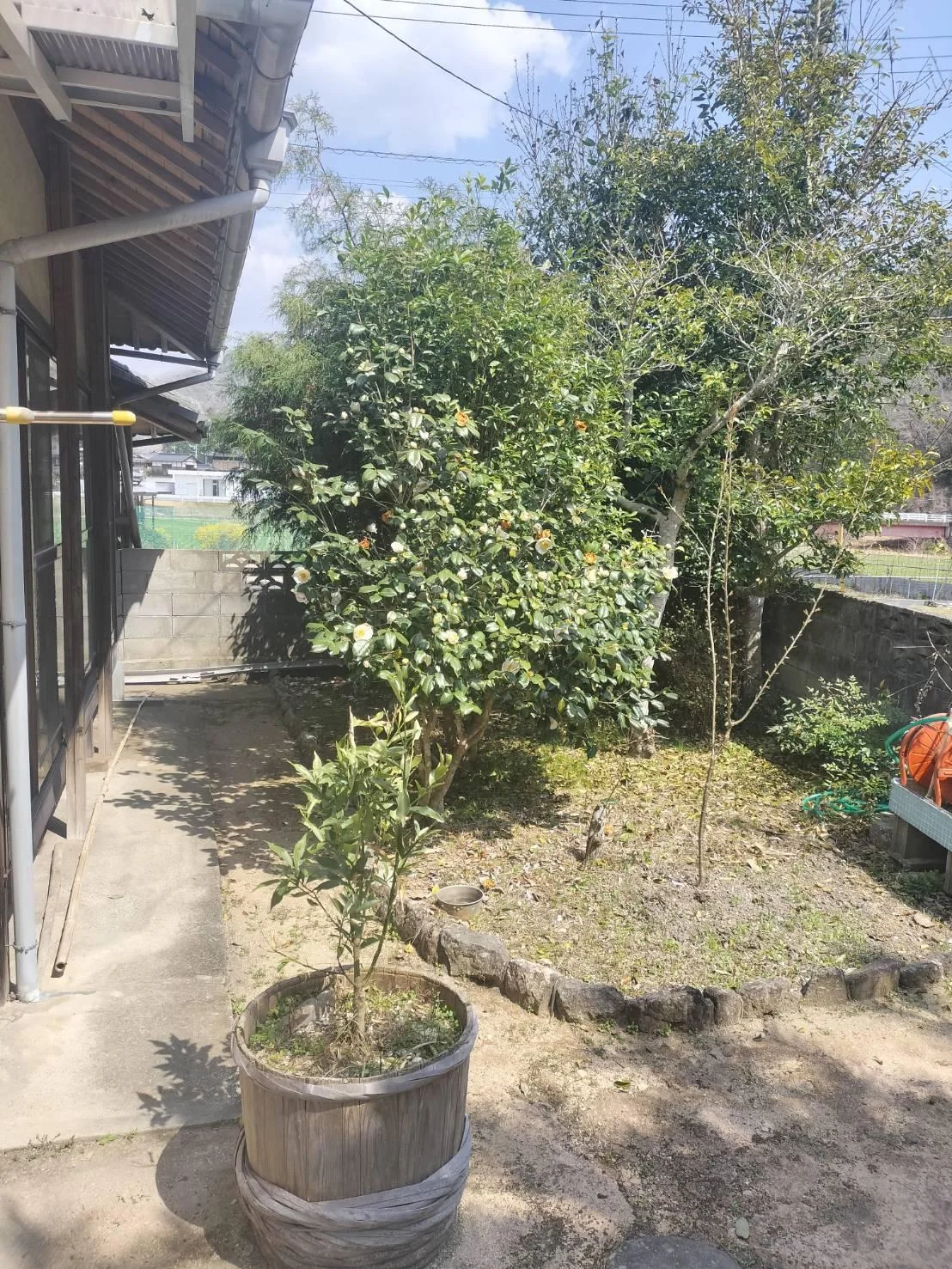 View 17