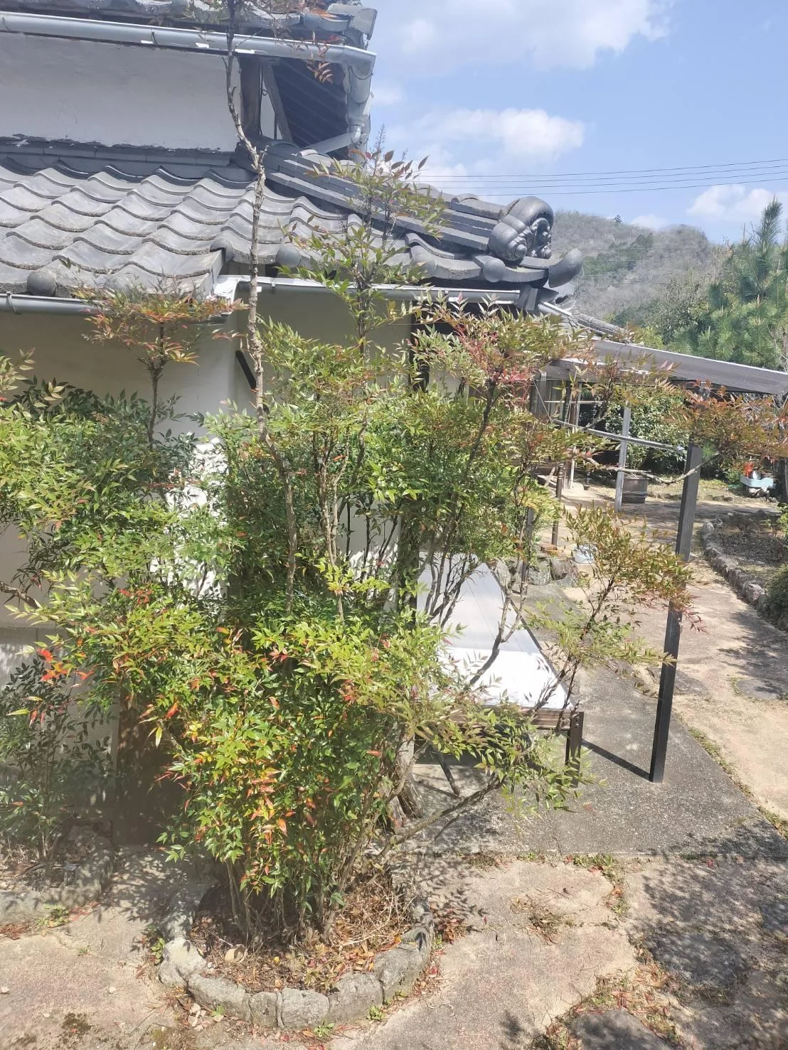 View 18