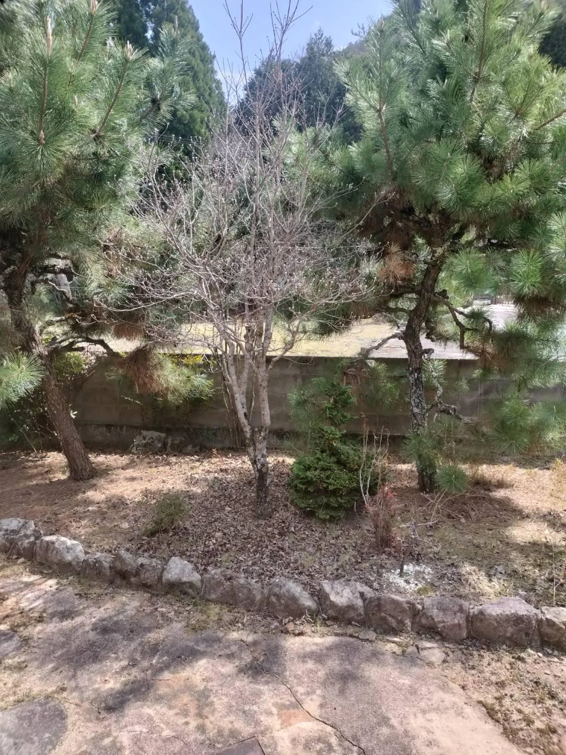 View 20