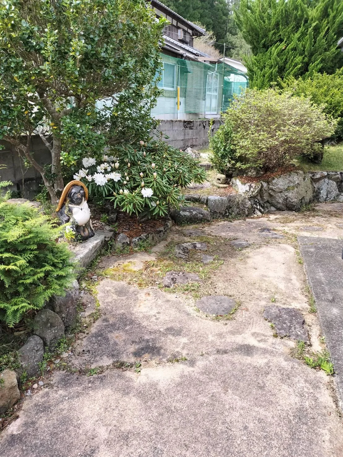 View 6