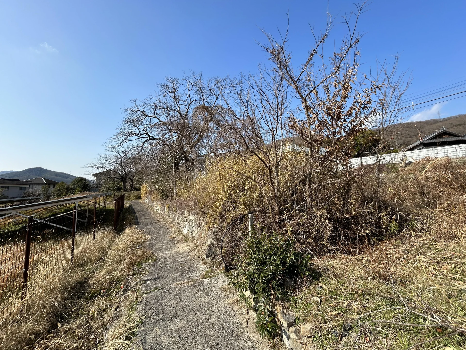 View 28
