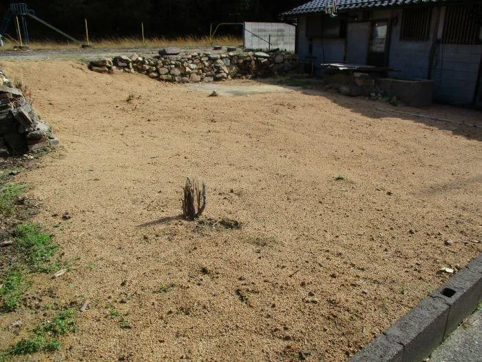 View 16