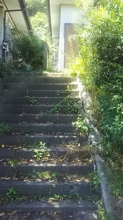View 3