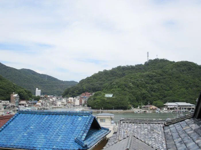 View 15
