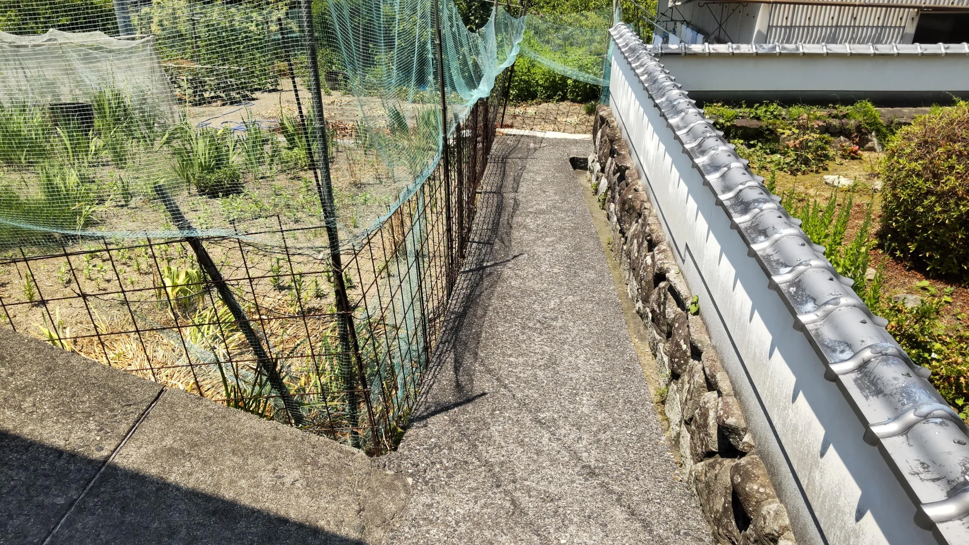 View 19