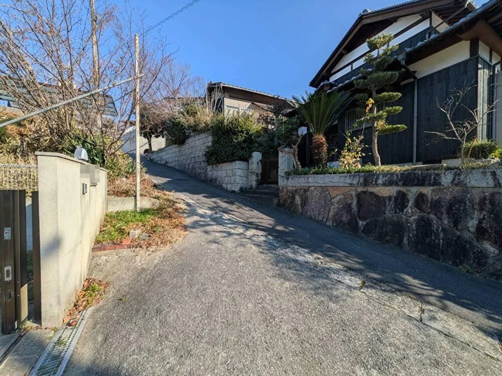 View 20