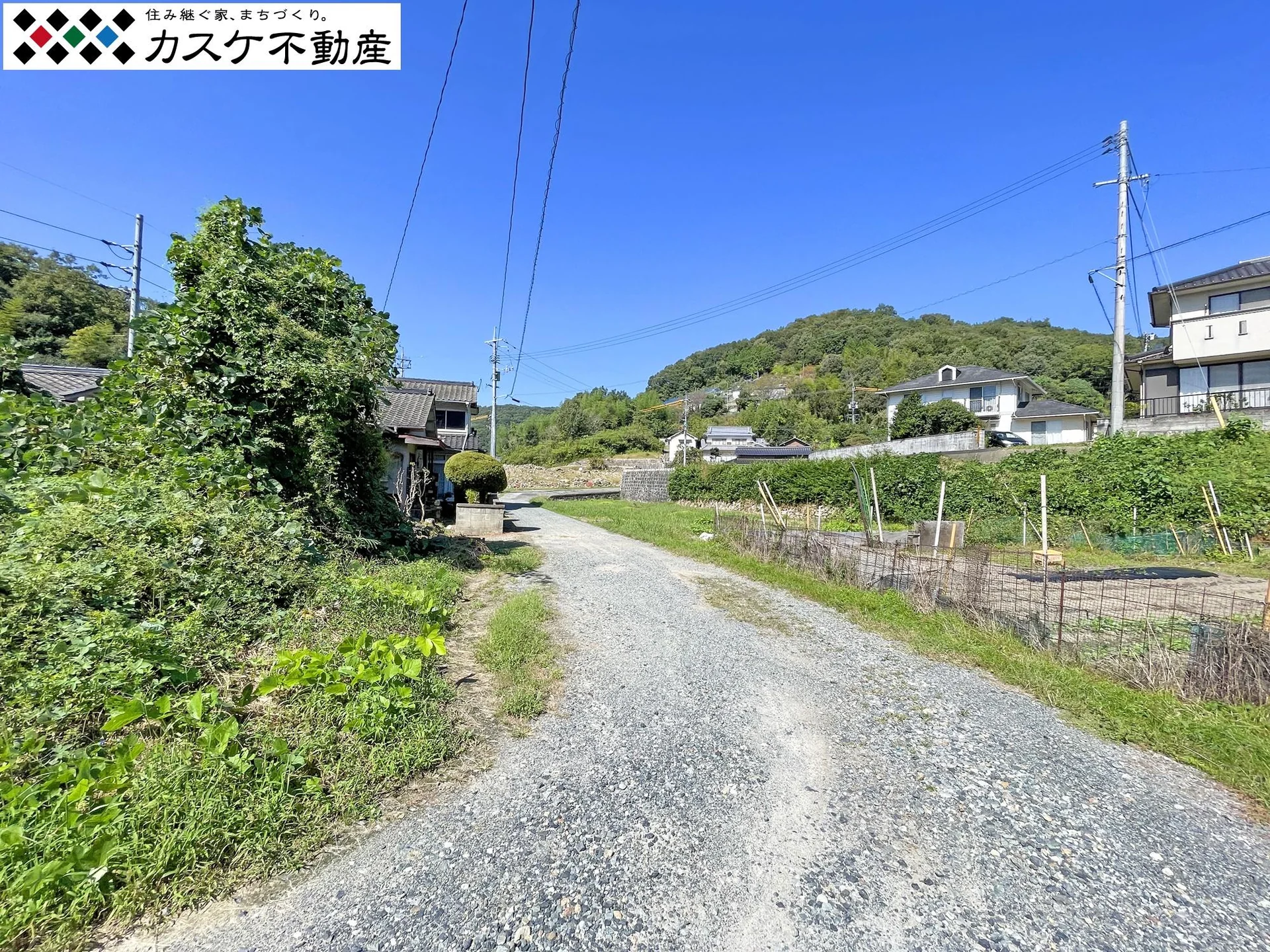 View 30