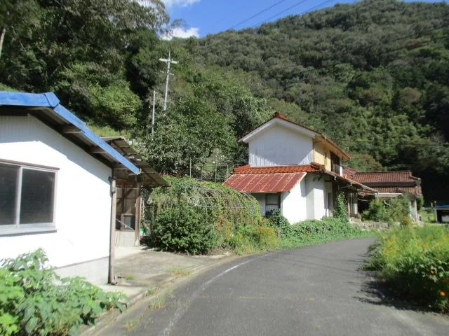 View 3