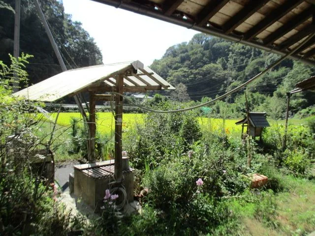 View 9