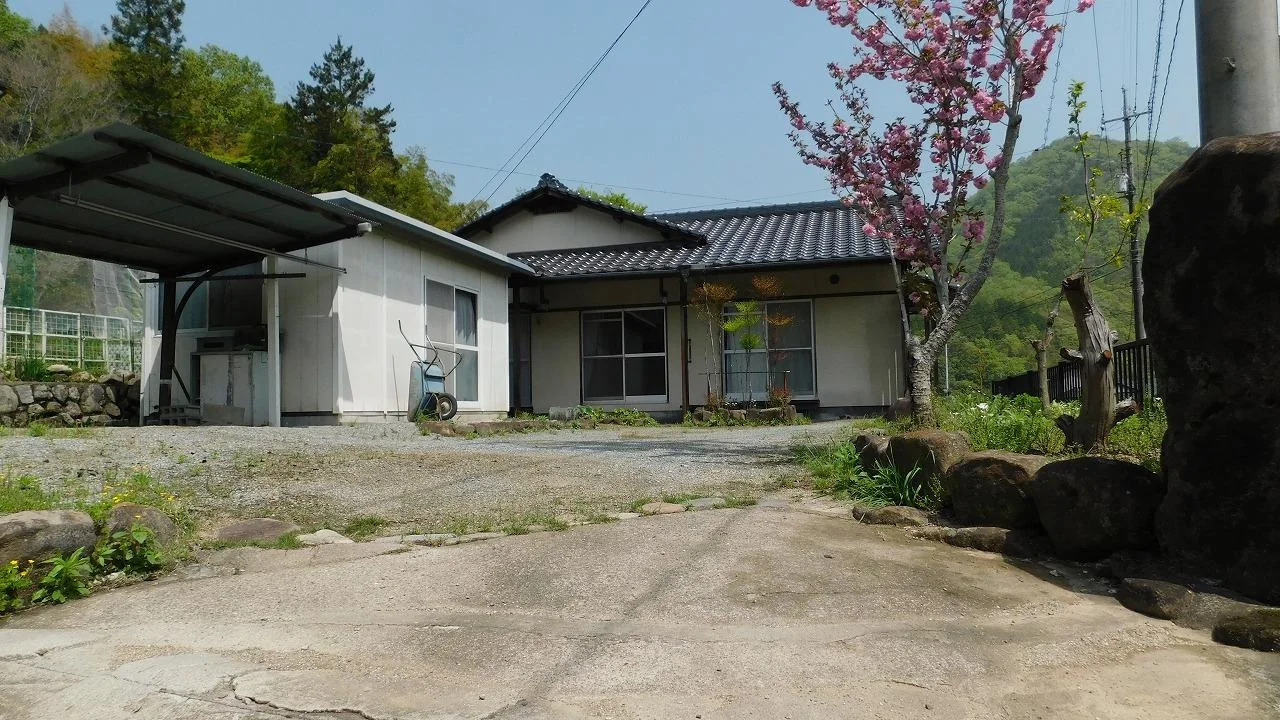 View 19