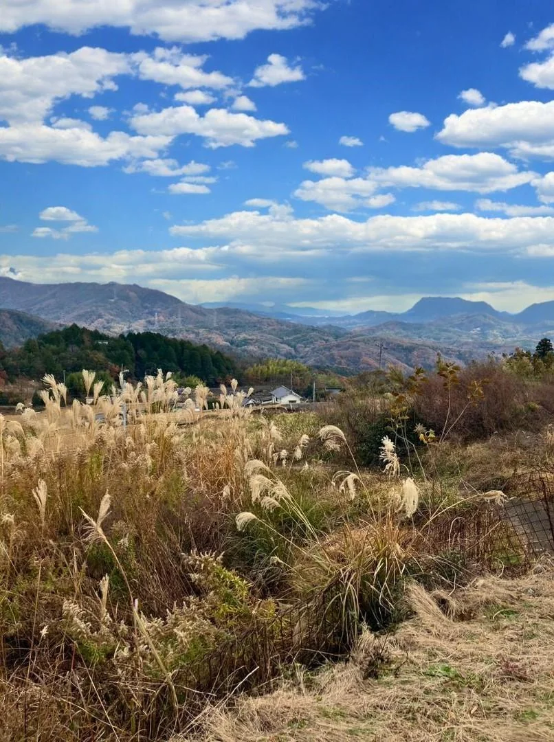 View 12