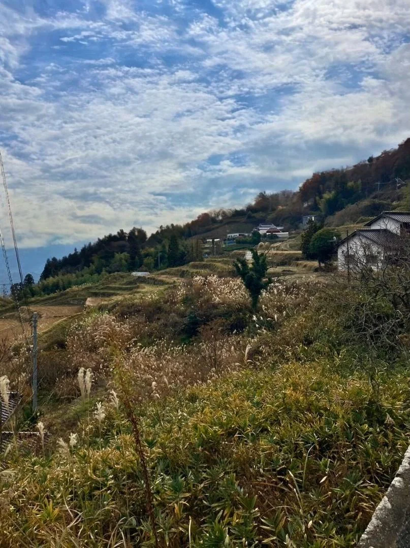 View 14