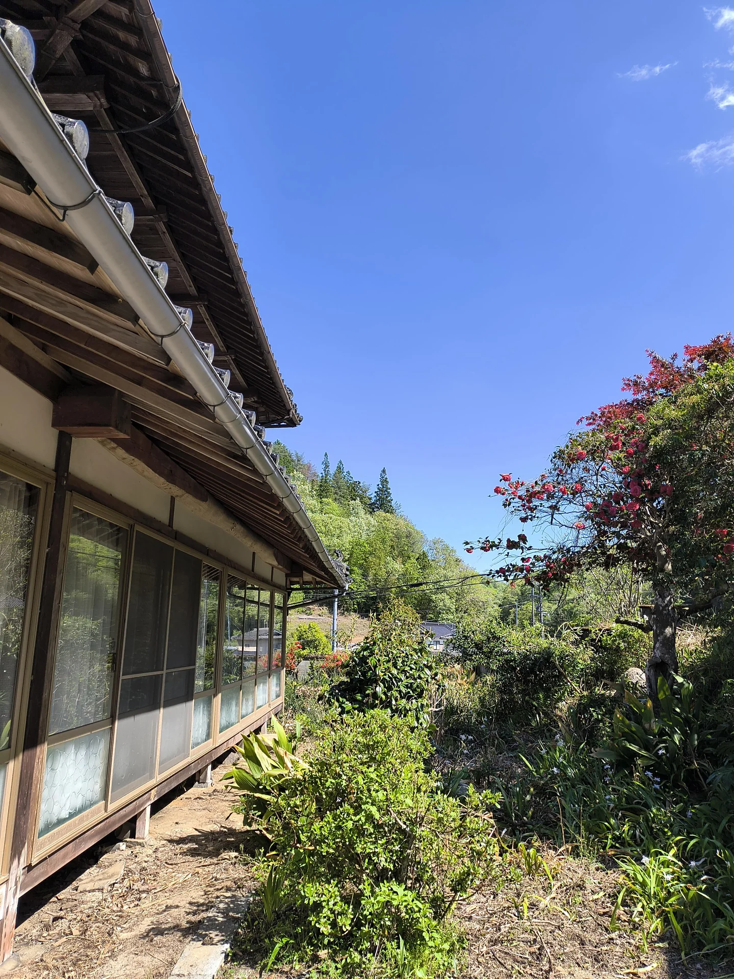 View 24