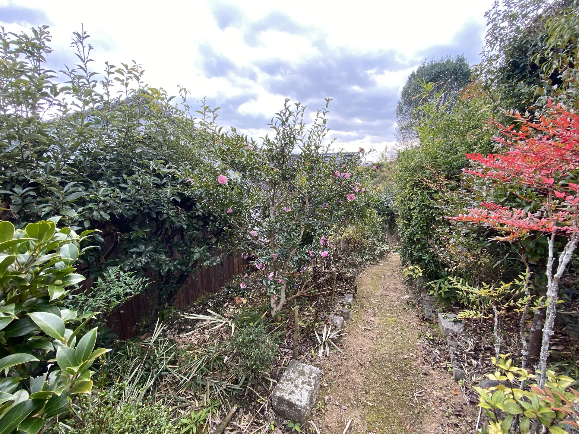 View 22