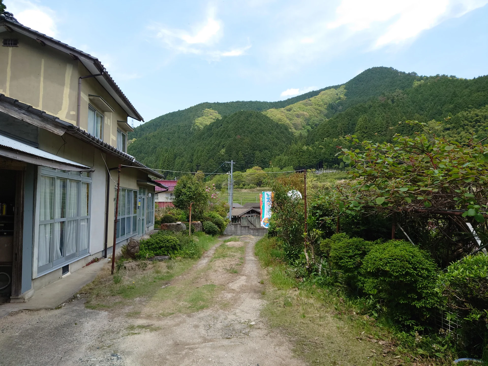 View 15