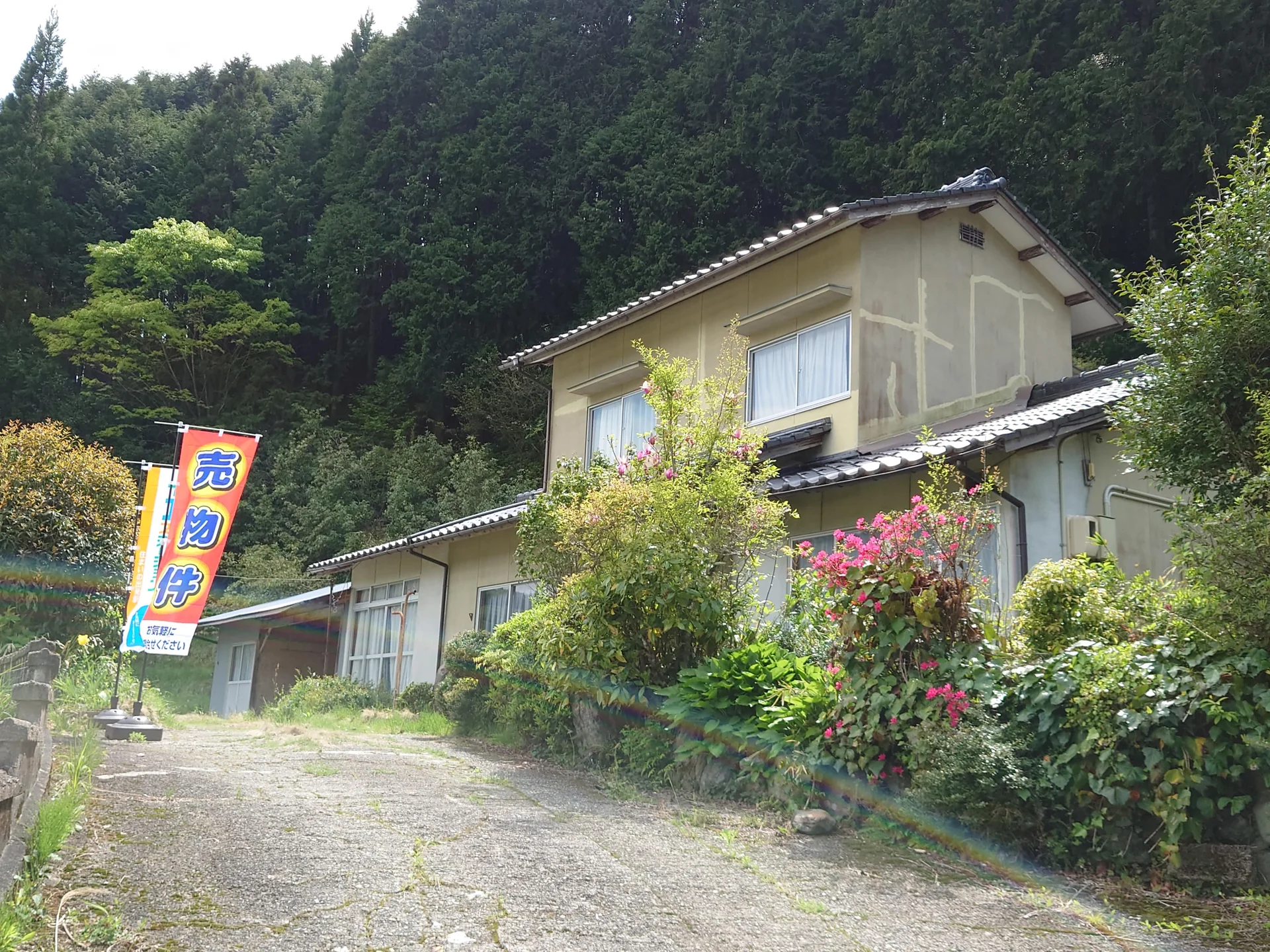 View 2