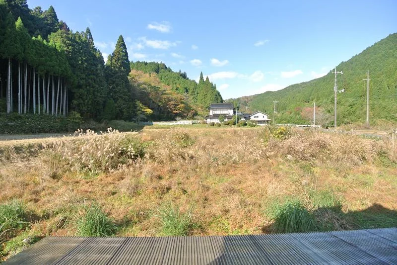 View 10