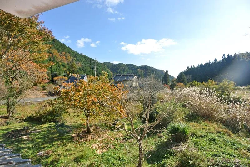 View 11