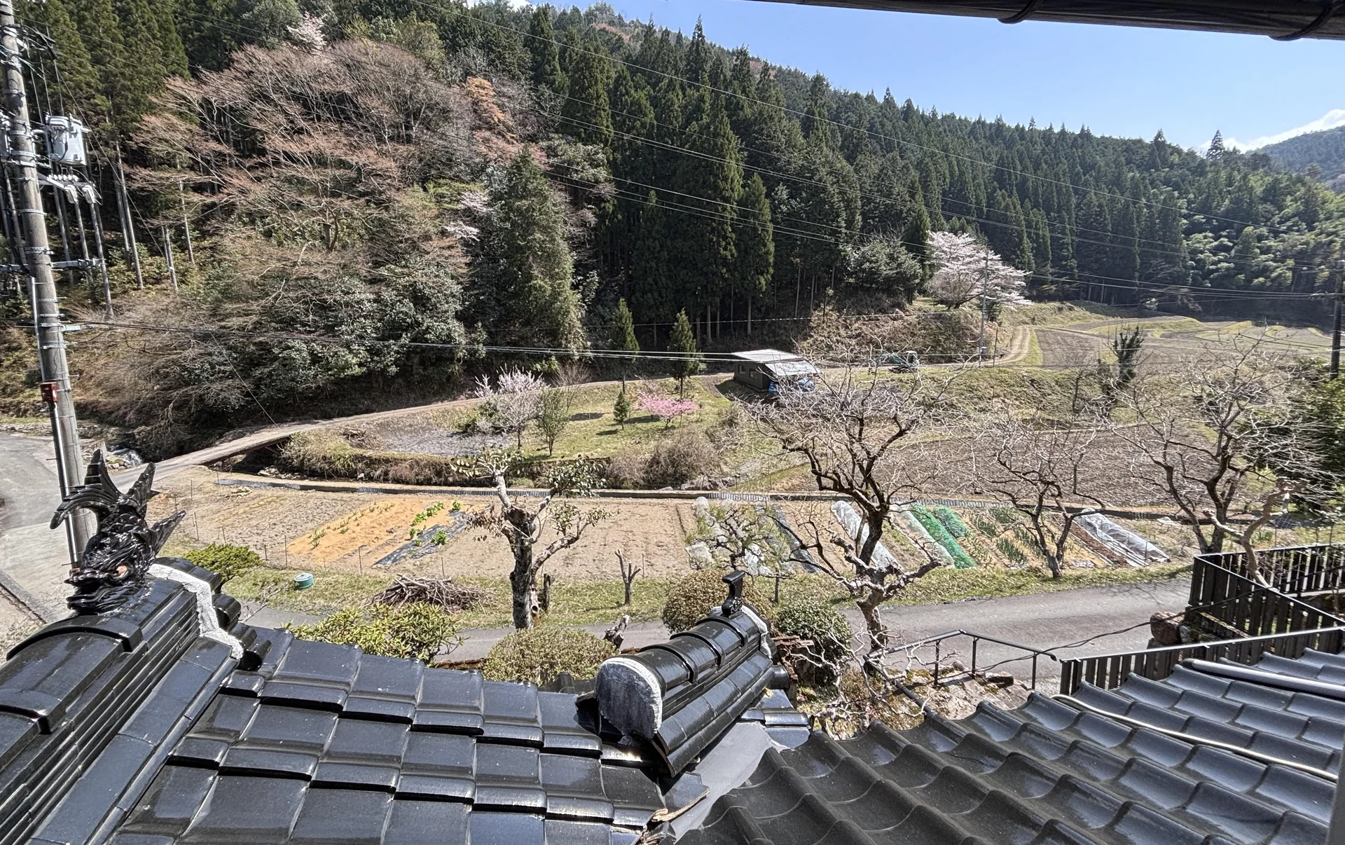 View 13