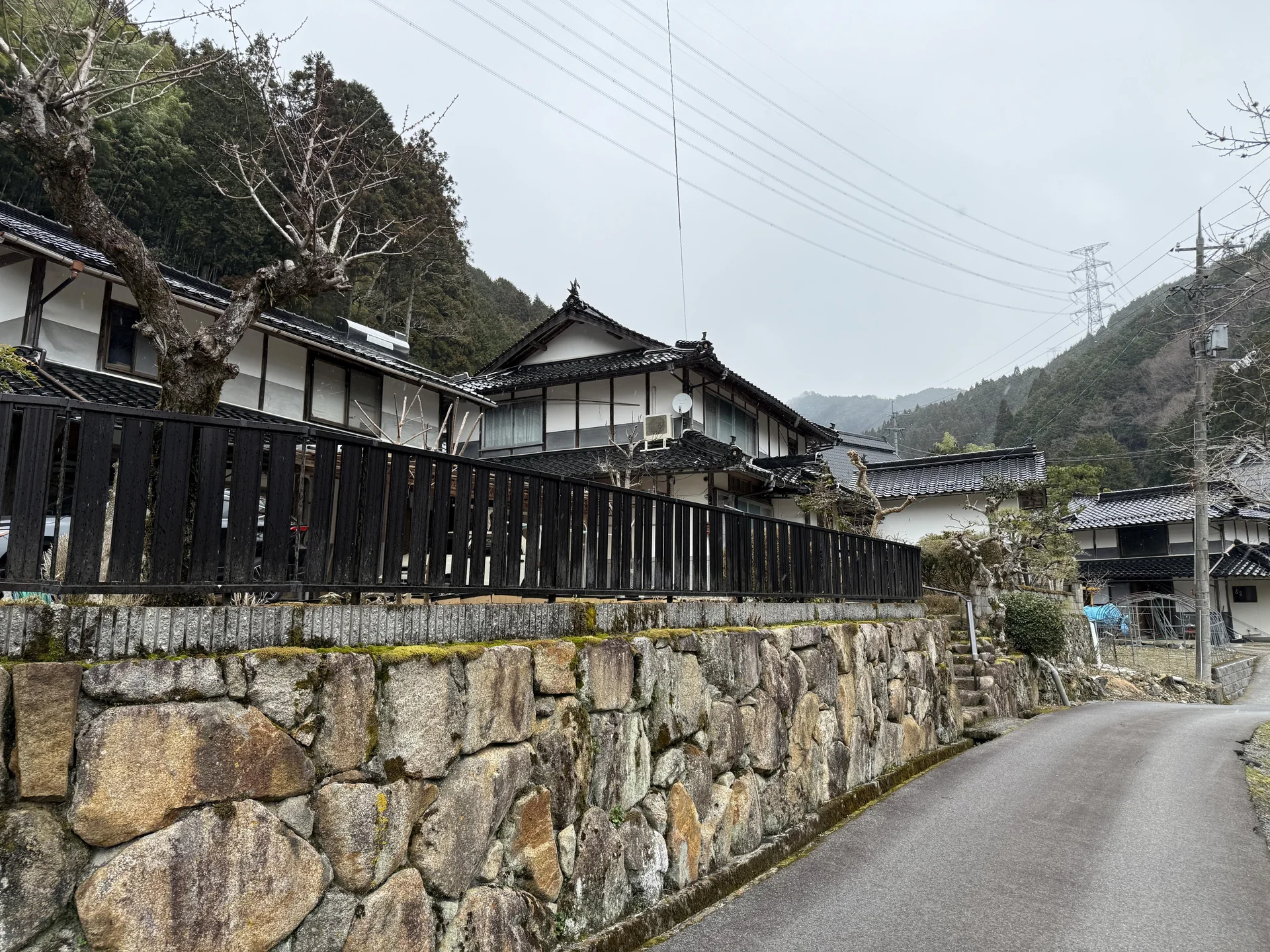 View 24