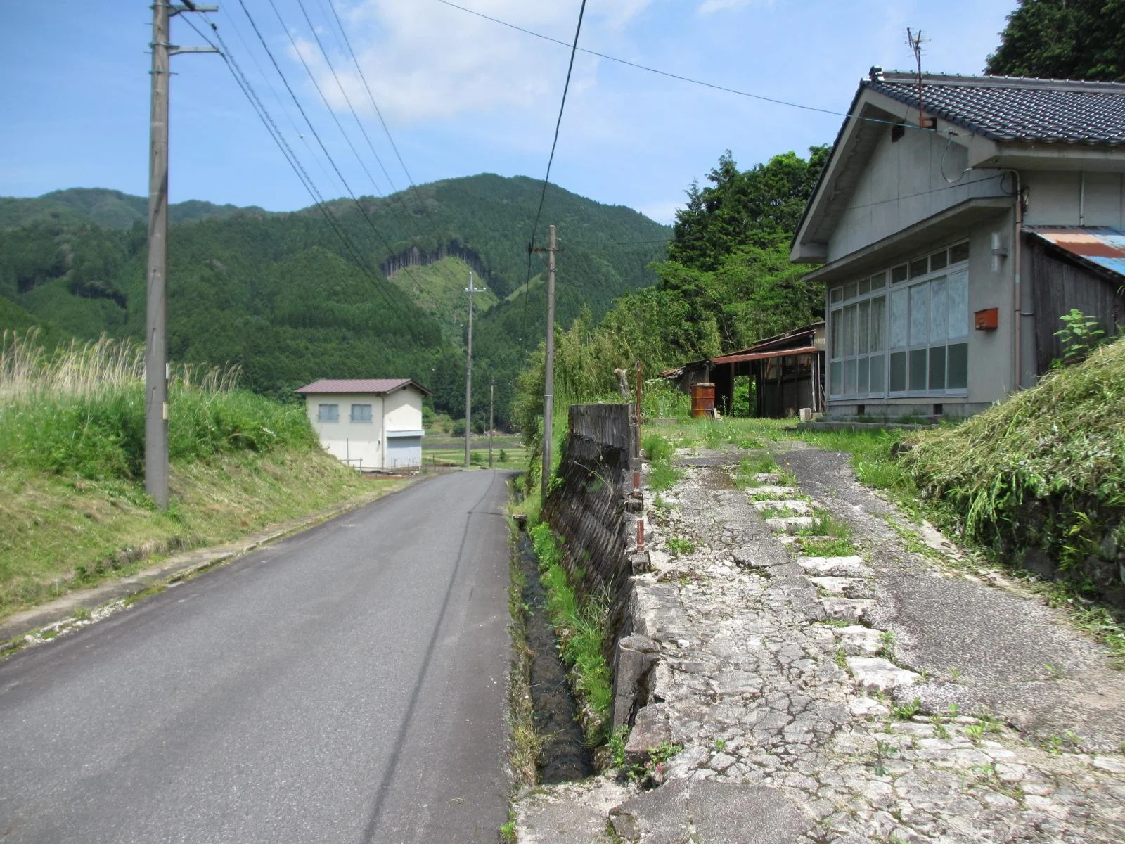 View 5