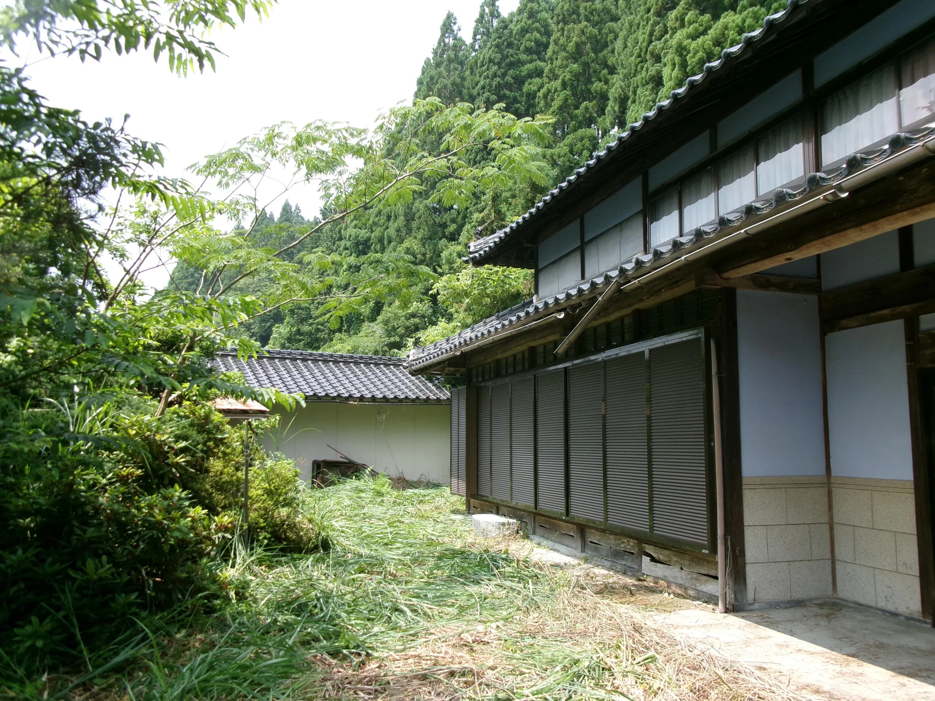 View 3