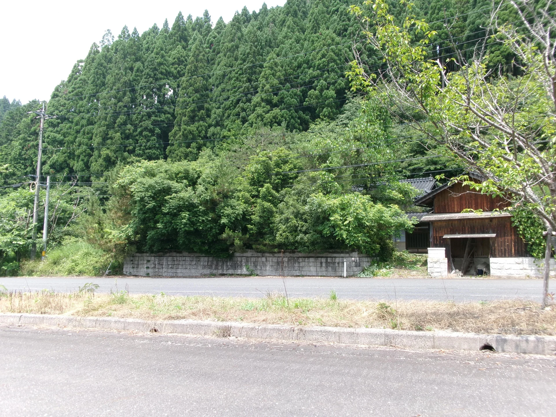 View 5