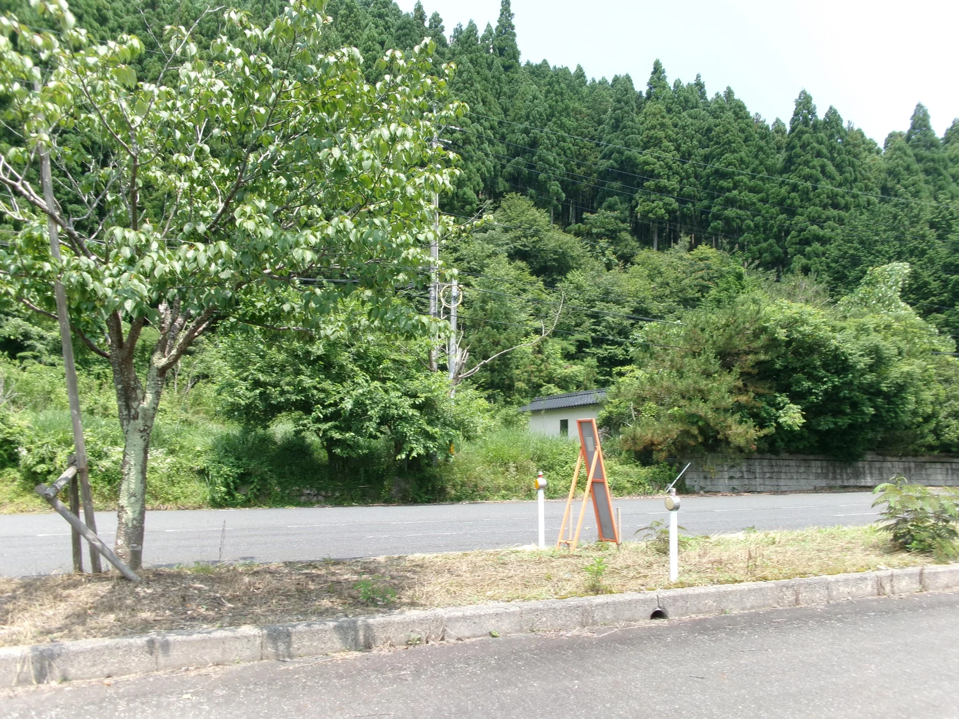 View 6
