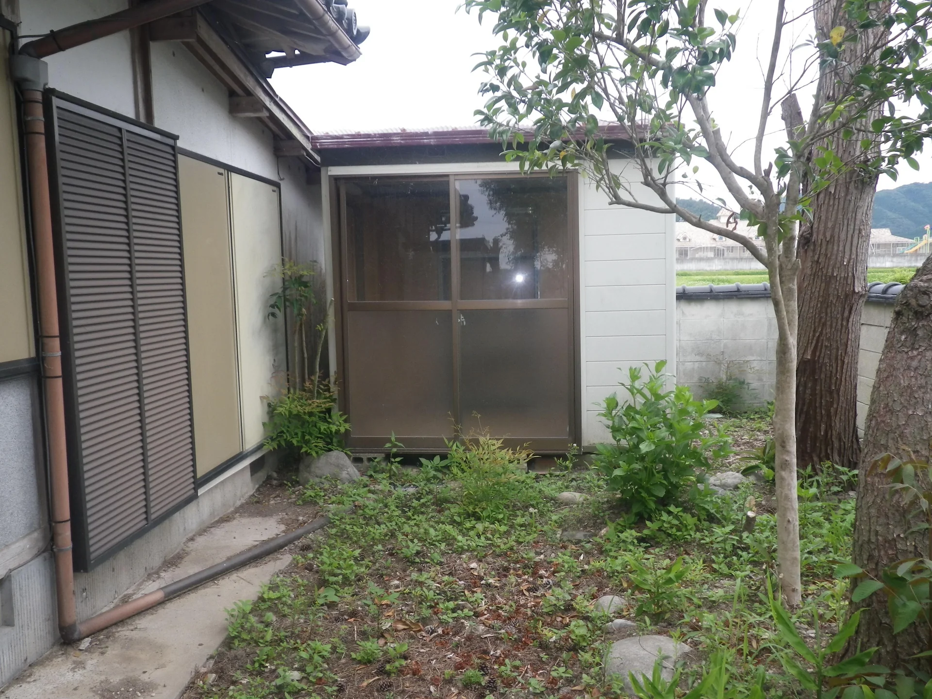 View 19