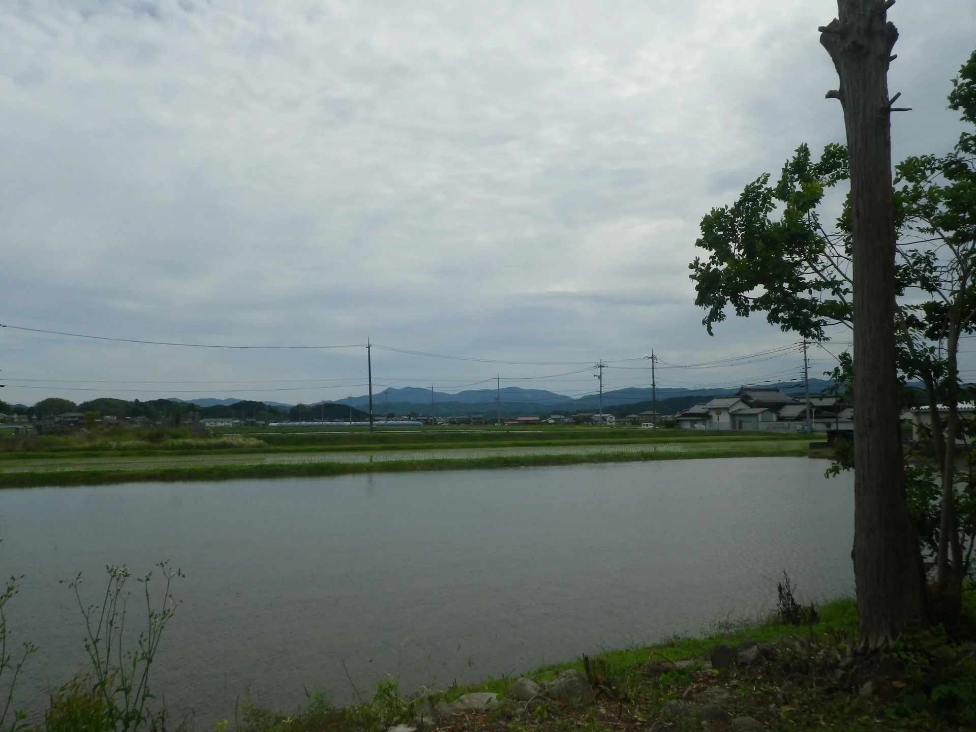 View 2