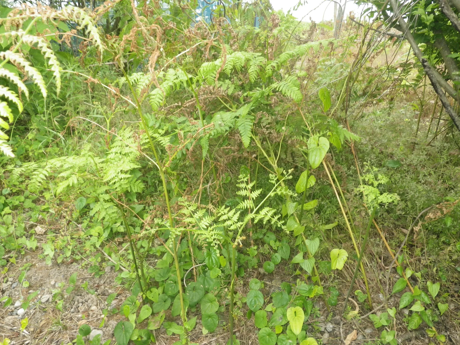 View 23