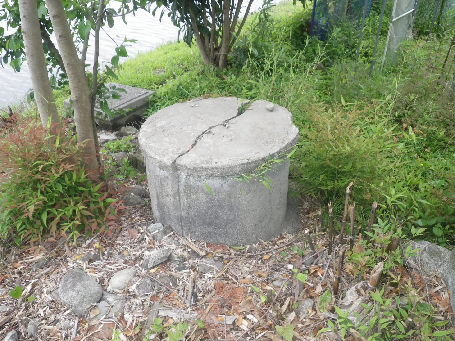 View 27
