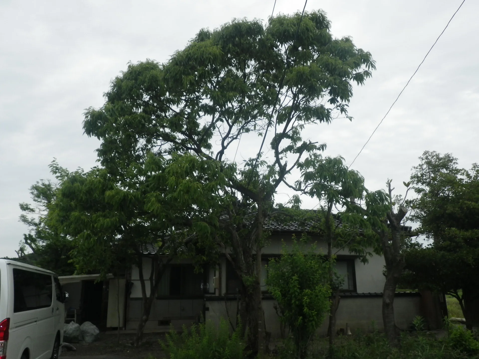 View 3