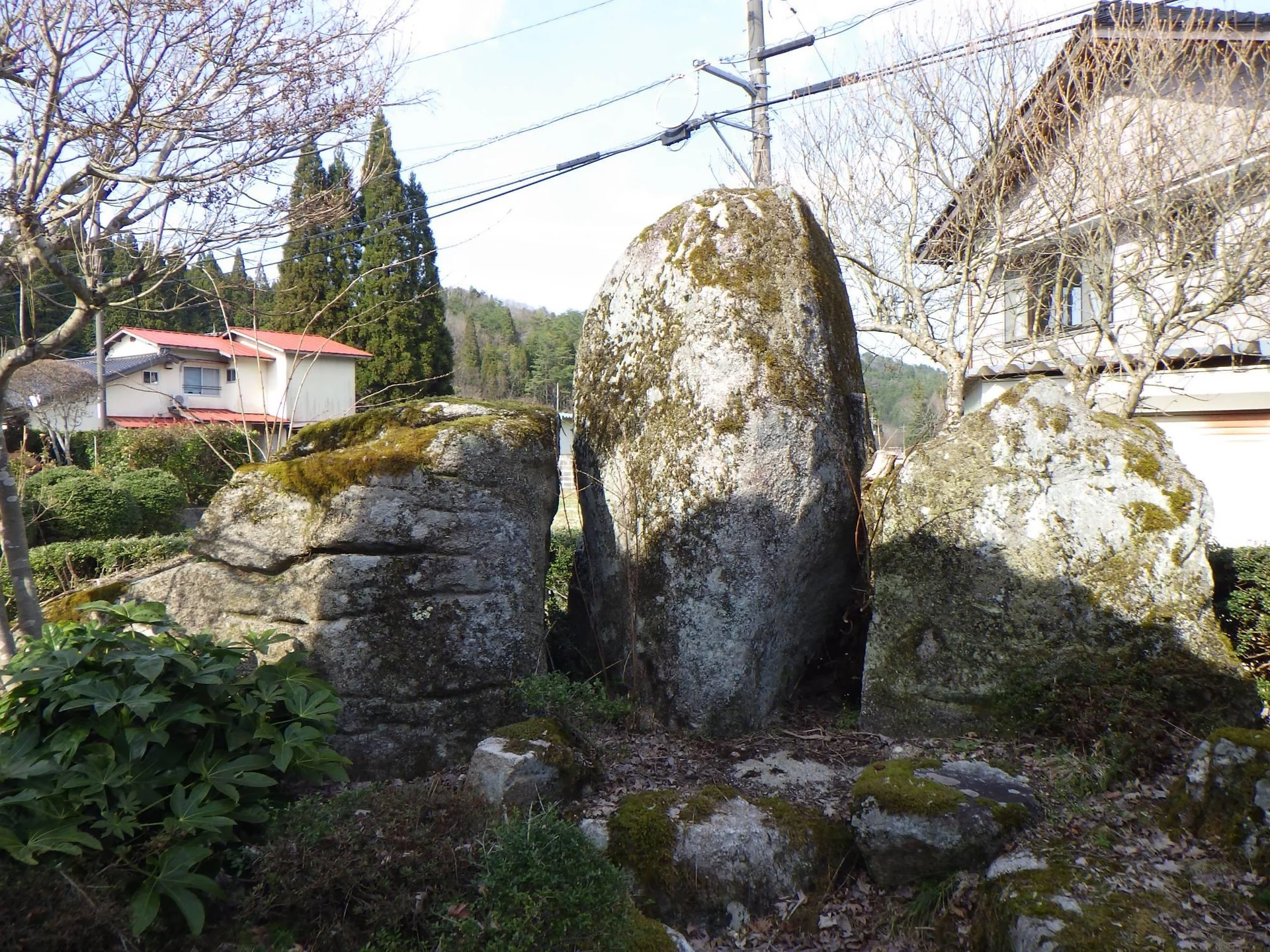 View 3