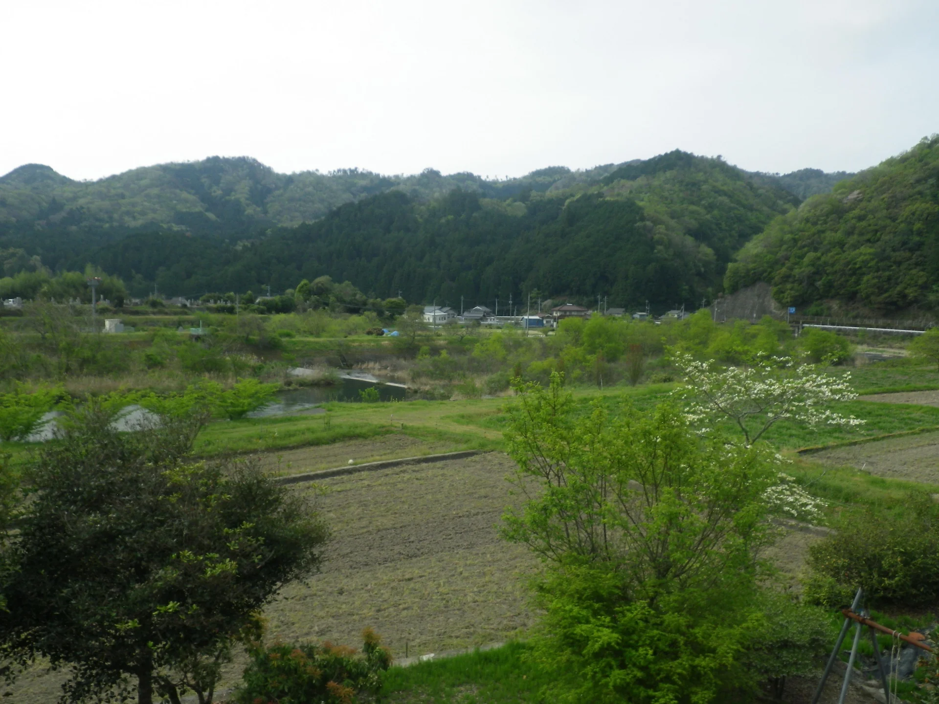 View 21
