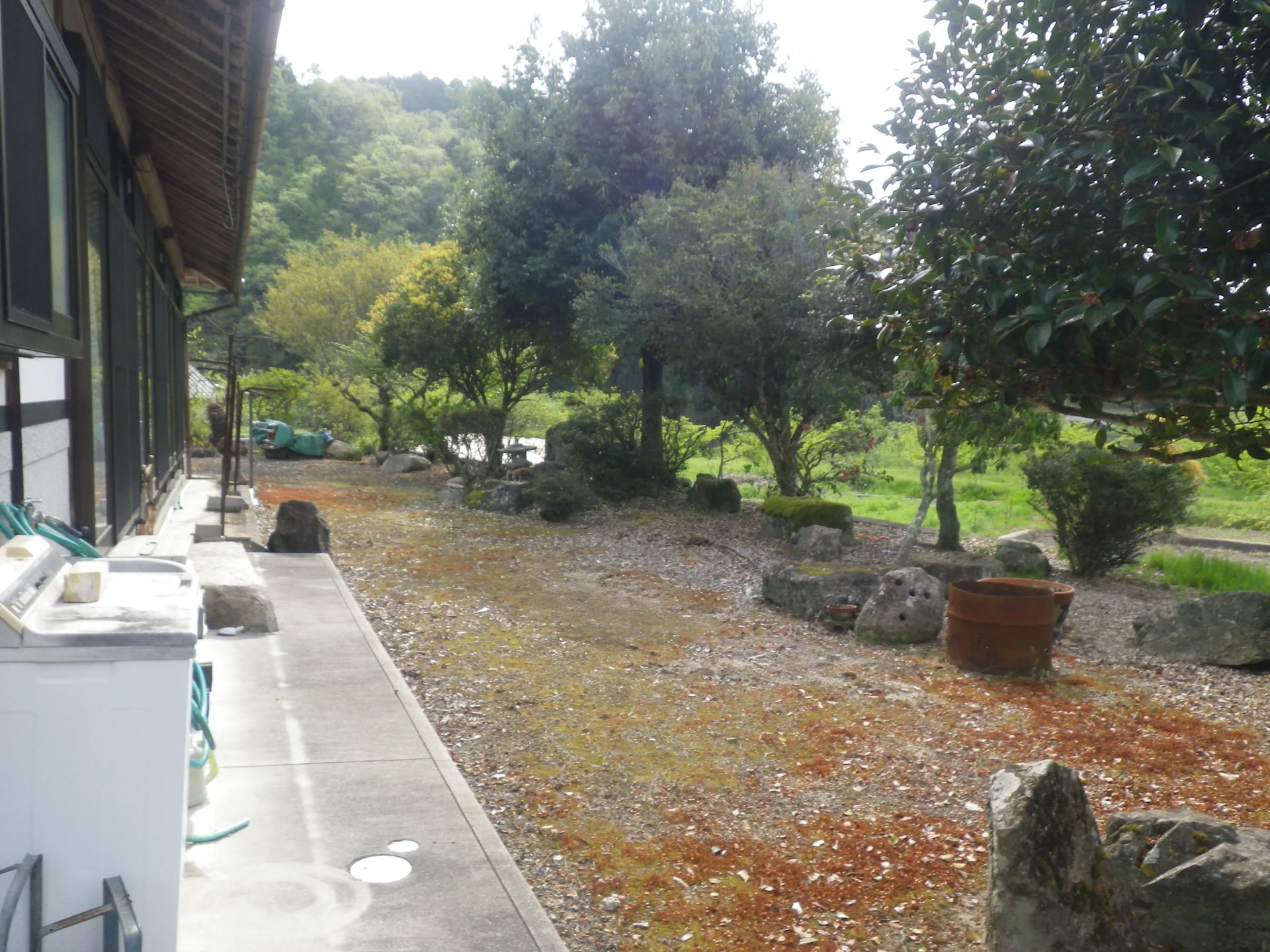 View 24