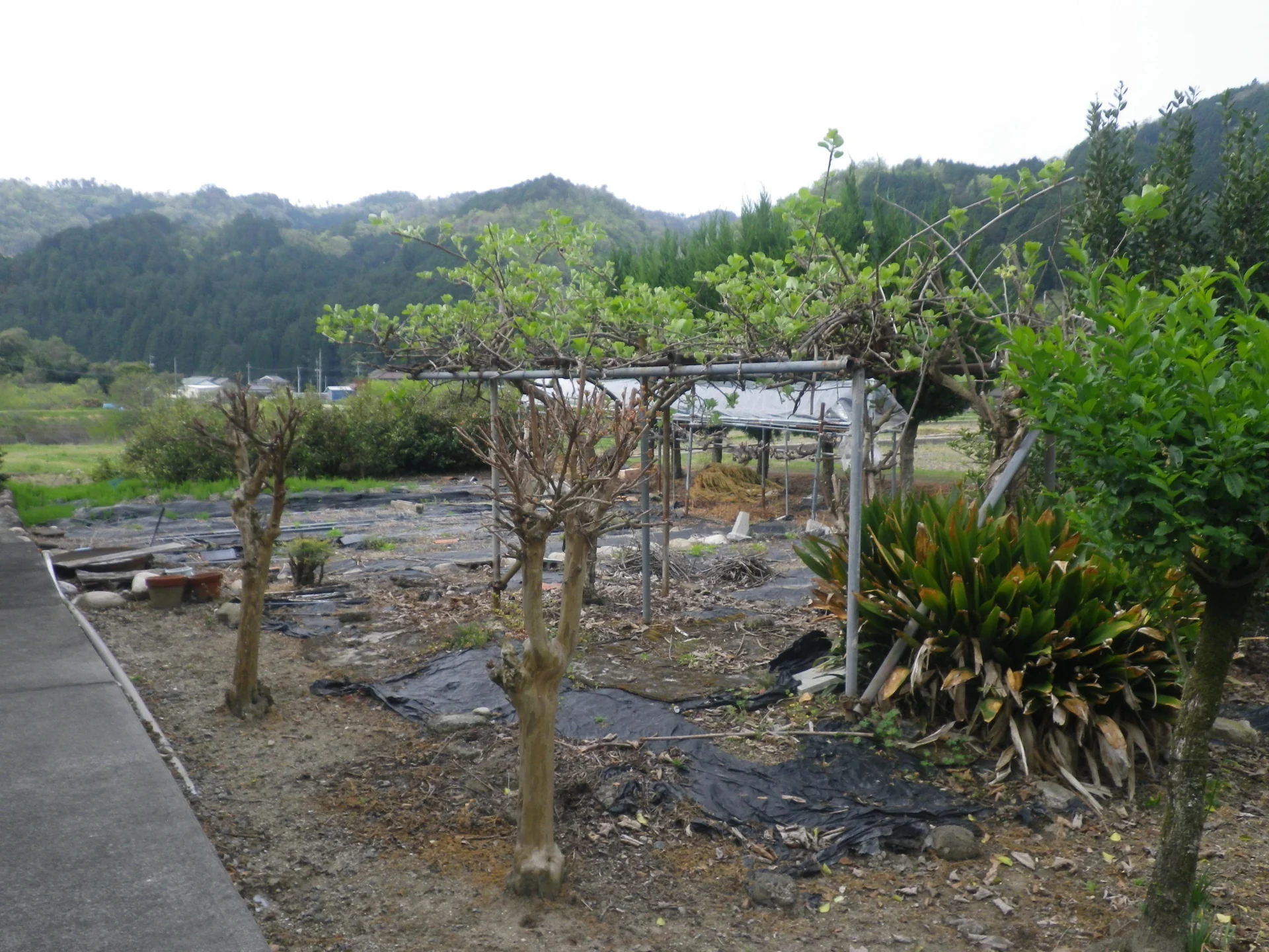 View 26