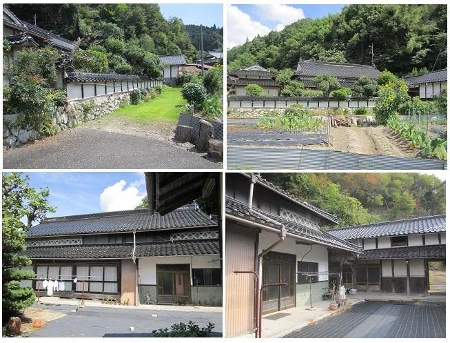 View 3