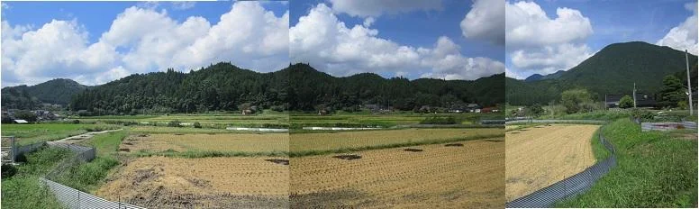 View 8