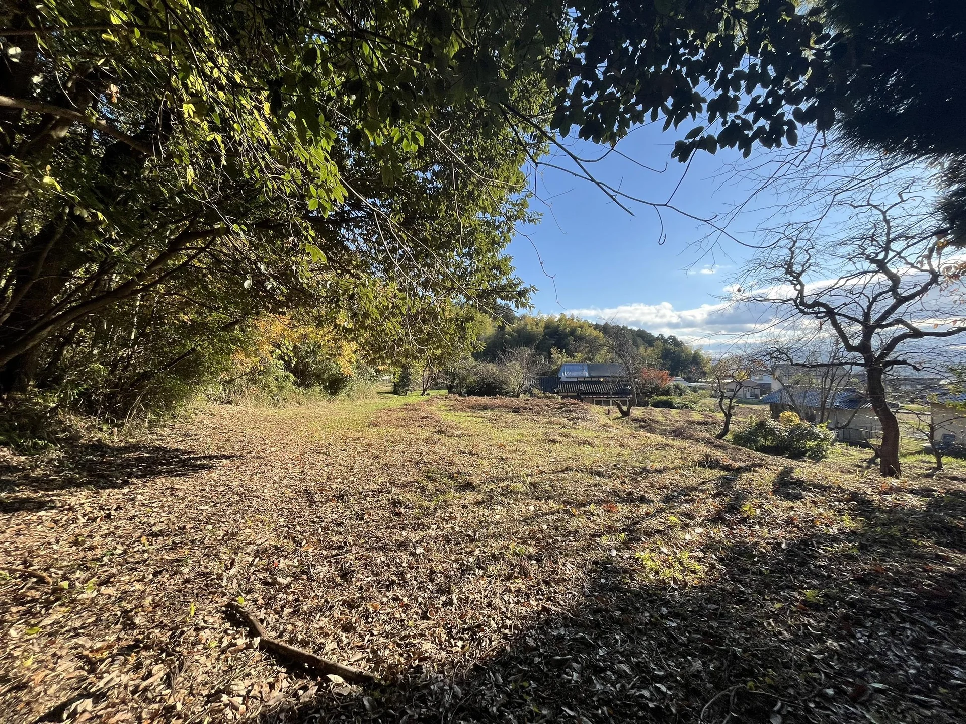 View 7