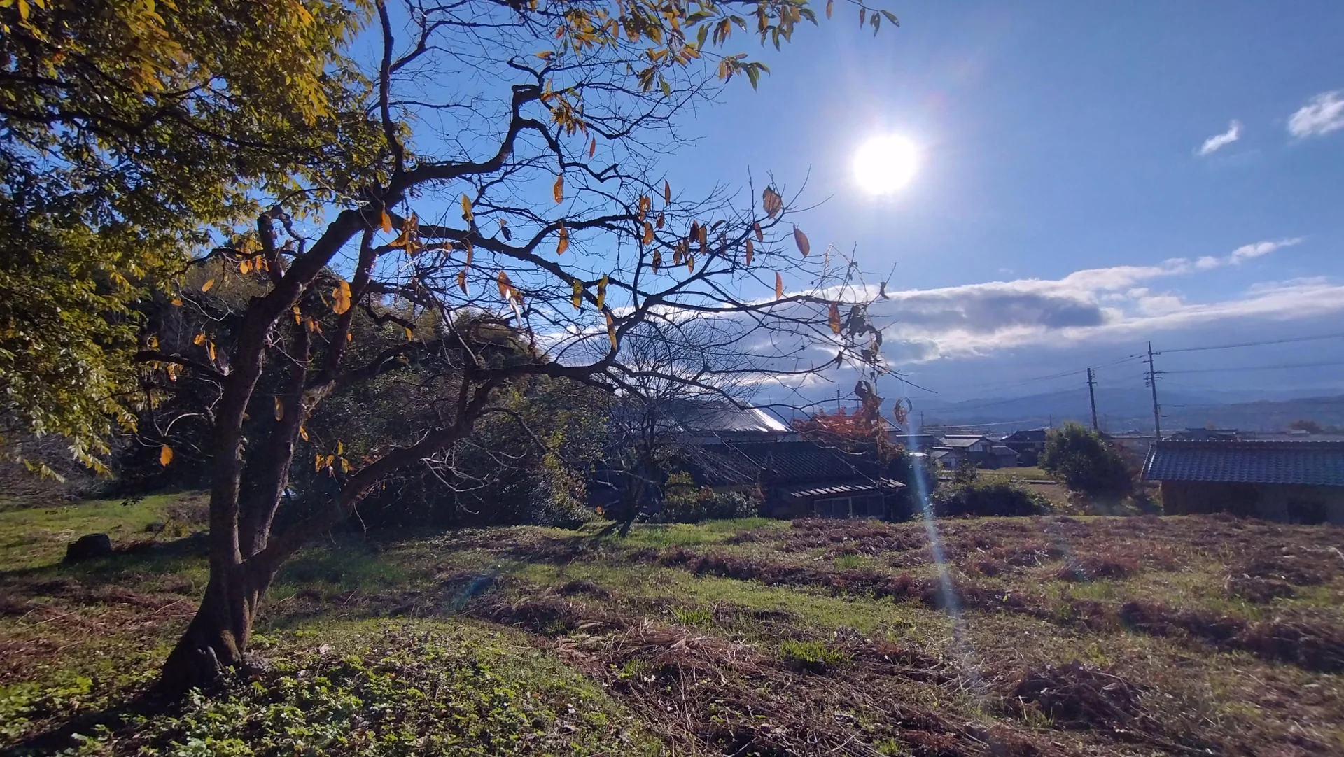 View 9