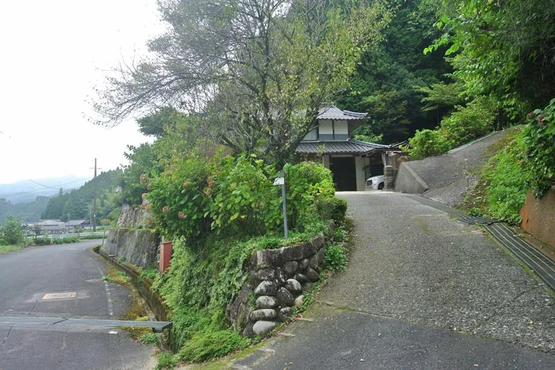 View 15