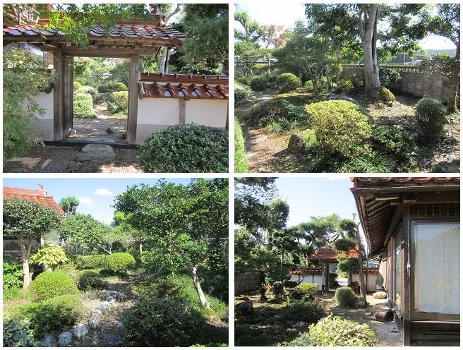 View 7
