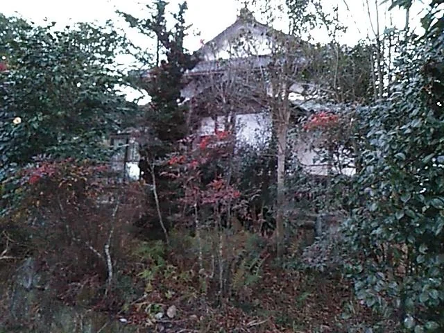 View 21