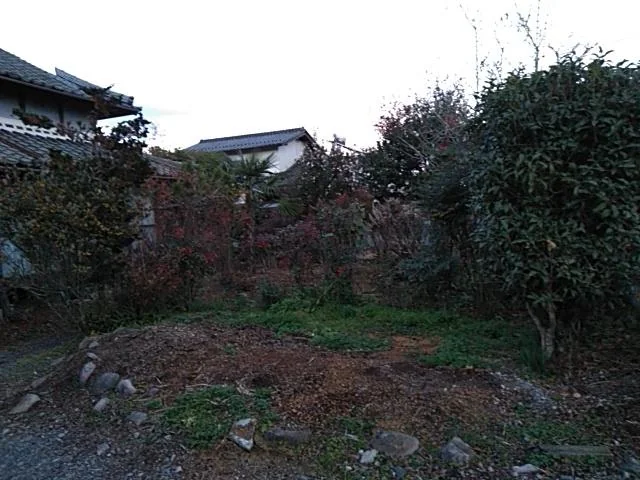 View 4