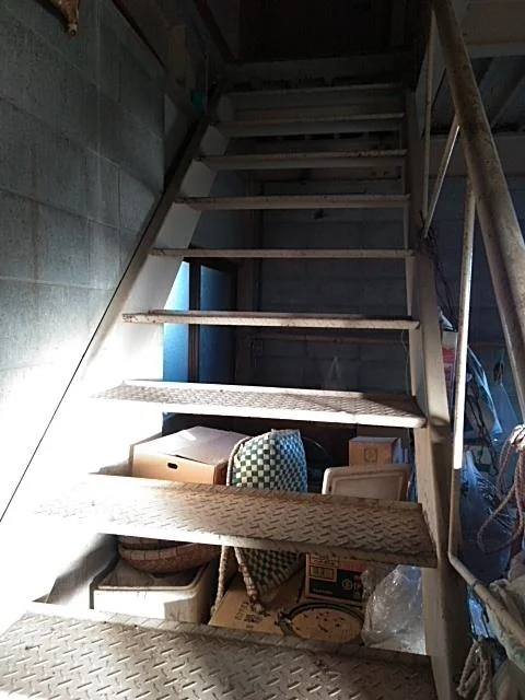 View 23