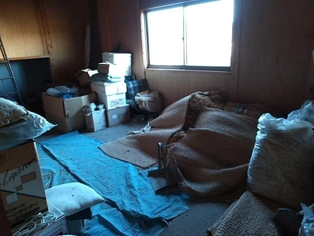 View 24