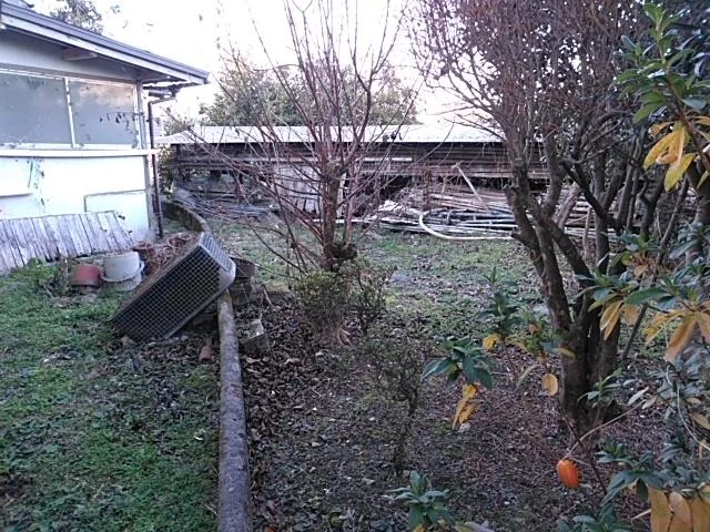 View 29