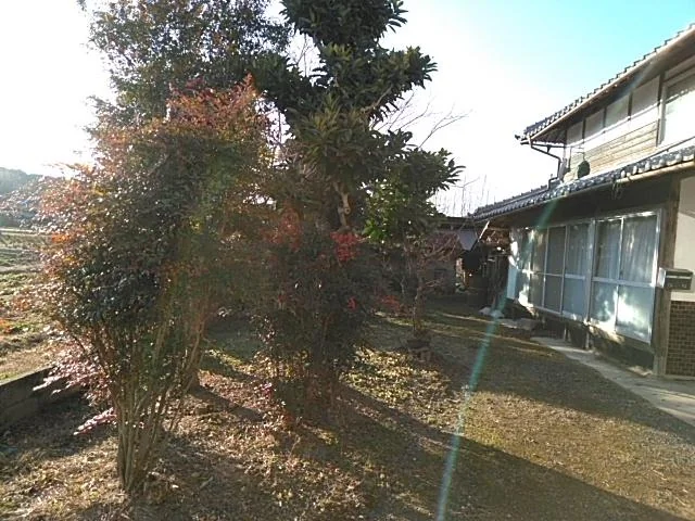View 4