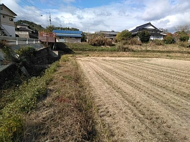 View 4